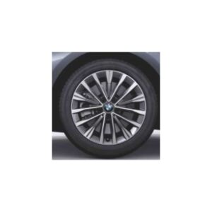 Vielspeiche 547 -1.jpg